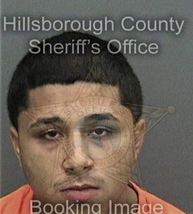 Alan Carneiro, - Hillsborough County, FL 