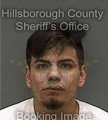 Anthony Guilarte, - Hillsborough County, FL 