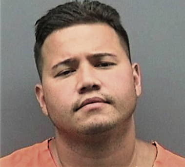 Eduardo Juica, - Hillsborough County, FL 