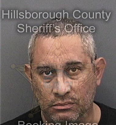 Ruilvin Lopez, - Hillsborough County, FL 