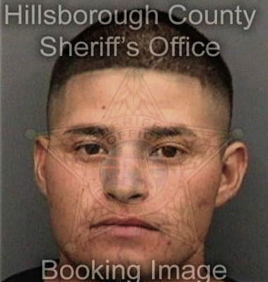 Bryan McClellan - Hillsborough County, FL 