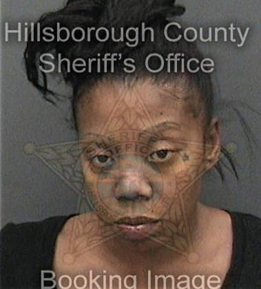 Lakendrick Mills - Hillsborough County, FL 