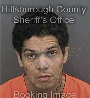 Harold Sykes, - Hillsborough County, FL 