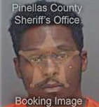 Brian Chidarikire, - Pinellas County, FL 