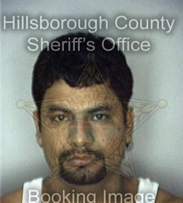 John Clarke - Hillsborough County, FL 