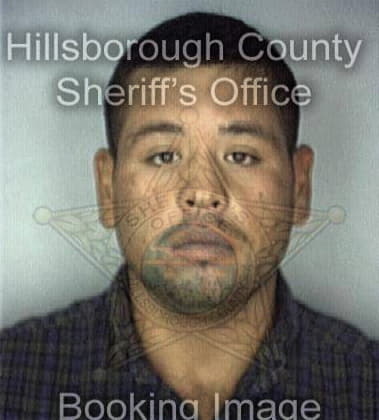 Mark McAfee - Hillsborough County, FL 