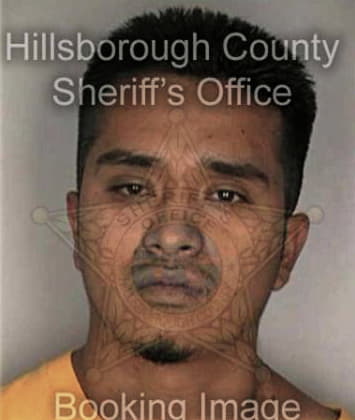 Jesus Troya, - Hillsborough County, FL 