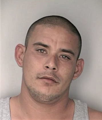 Elvin Archaga, - Hillsborough County, FL 