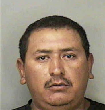 Hector Badillo, - Polk County, FL 