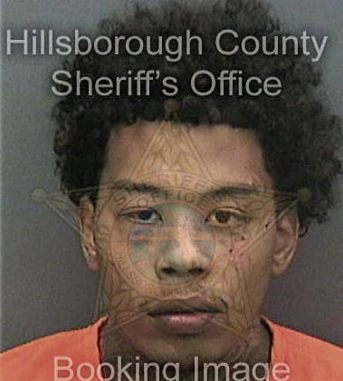 Gino Copeland, - Hillsborough County, FL 