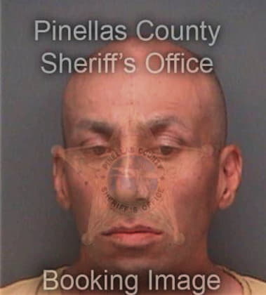 Gaspar Garcia, - Pinellas County, FL 