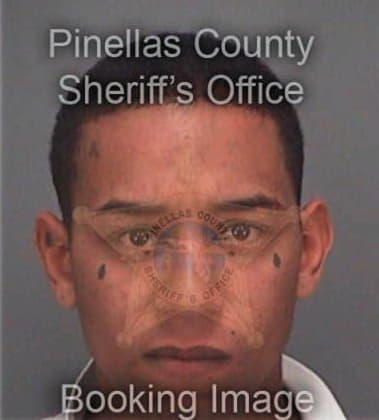 Juan Hernandez, - Pinellas County, FL 