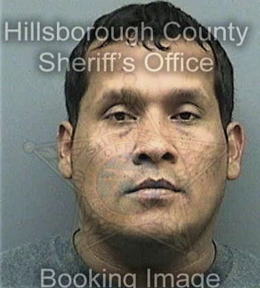 Vincent Mandile, - Hillsborough County, FL 