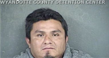 Eldier Molina, - Wyandotte County, KS 