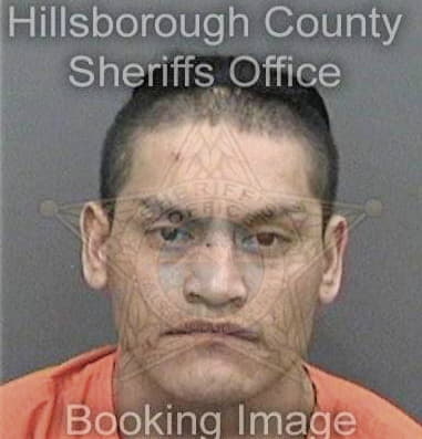 Brian Talmadge, - Hillsborough County, FL 