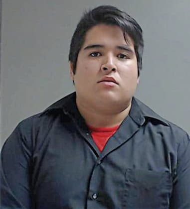 Jorge Arias-Cerda, - Hidalgo County, TX 