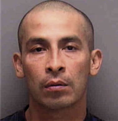 Jose Calvo-Salomon, - Lee County, FL 