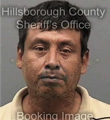 Hector Laureano, - Hillsborough County, FL 