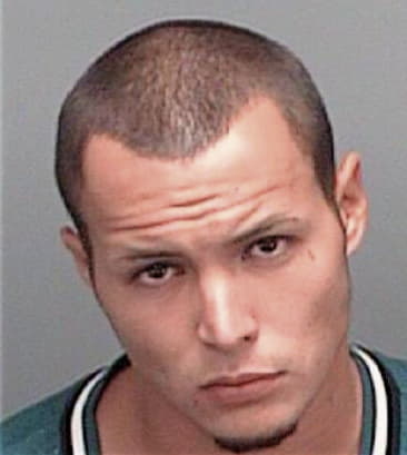 Armando Murillo, - Pinellas County, FL 