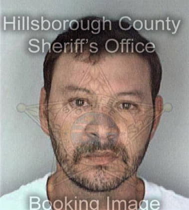 Domingo Sanchez, - Hillsborough County, FL 