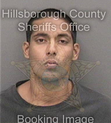 Jesse Singh, - Hillsborough County, FL 