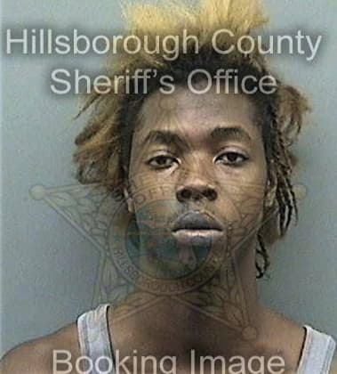 Sean Teelucksingh, - Hillsborough County, FL 