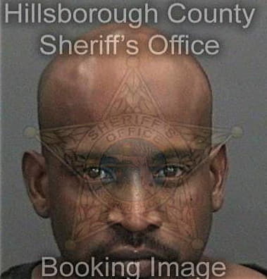Sirree Brandon - Hillsborough County, FL 