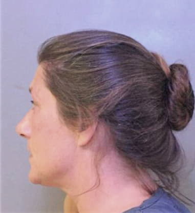 Kirsten Collins - Polk County, FL 