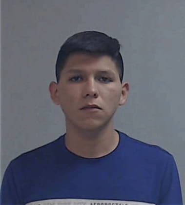 Edson Moctezuma-Acosta, - Hidalgo County, TX 