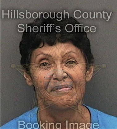 Yanitza Ortiz, - Hillsborough County, FL 