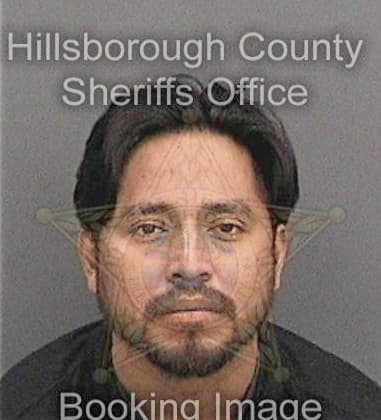 Michael Poliseno, - Hillsborough County, FL 