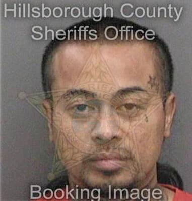 Percy Riveros - Hillsborough County, FL 