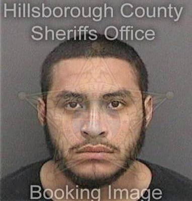 Daniel Arizmendiolivera, - Hillsborough County, FL 