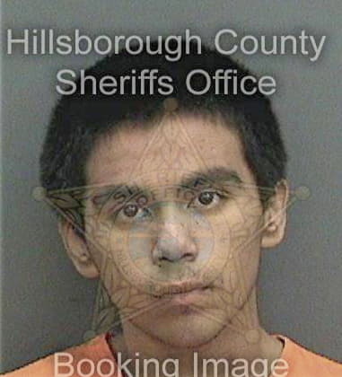 Christopher Haggard, - Hillsborough County, FL 