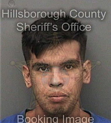 Omar Montesino, - Hillsborough County, FL 