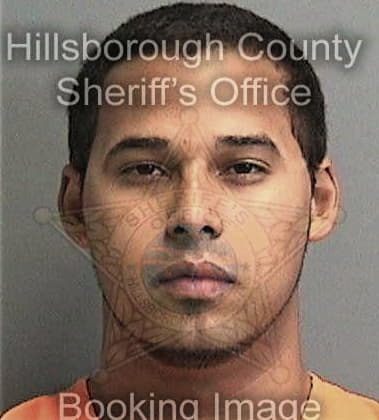 Michael Ortiz, - Hillsborough County, FL 