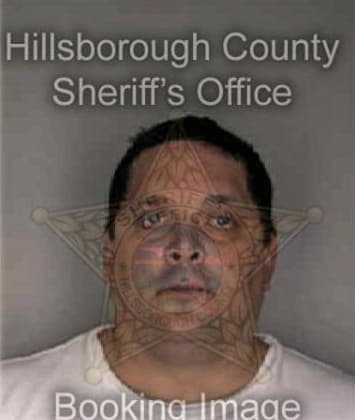 Wilson Perezsanchez, - Hillsborough County, FL 