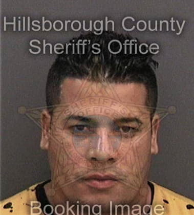 Jose Romanportillo, - Hillsborough County, FL 