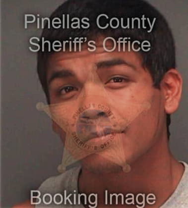 Rolando Sierrasanchez, - Pinellas County, FL 