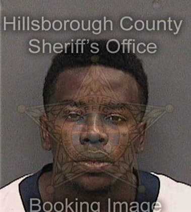 Dominic Wittig, - Hillsborough County, FL 