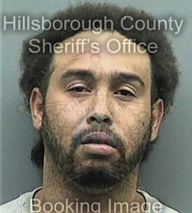 Samuel Balseiro, - Hillsborough County, FL 