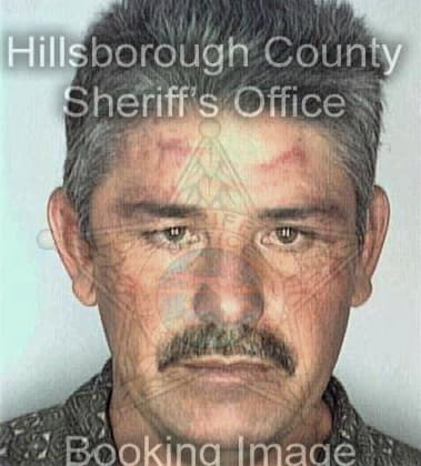 Gregorio Benitezperez, - Hillsborough County, FL 