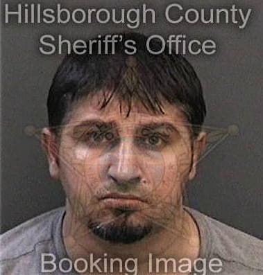 Kevin Girgis, - Hillsborough County, FL 