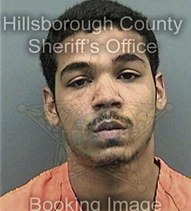 Henry Ryan, - Hillsborough County, FL 