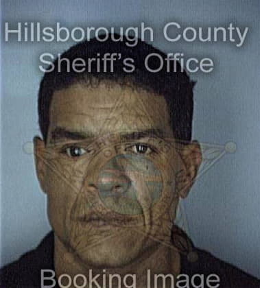 Sandino Cavazos, - Hillsborough County, FL 