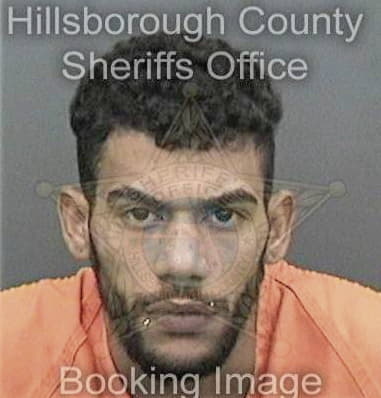 Moses Diaz, - Hillsborough County, FL 