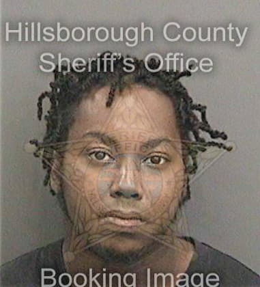 Travis Hudson, - Hillsborough County, FL 