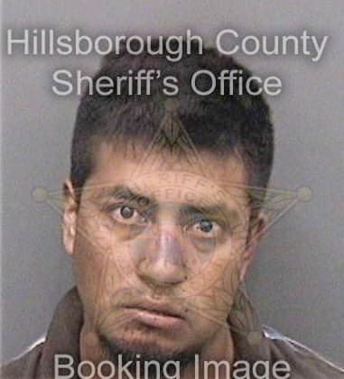 Pejmon Milani - Hillsborough County, FL 