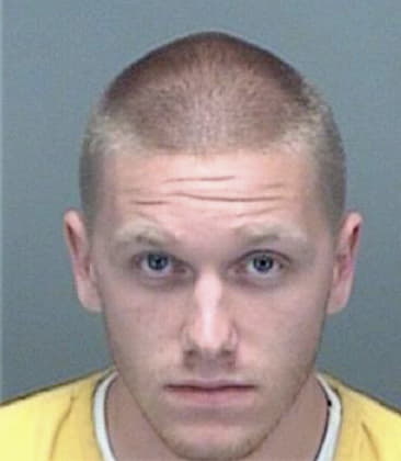 Henry Cayer, - Pinellas County, FL 