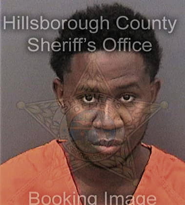 Anthony Mansfield, - Hillsborough County, FL 